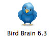 Bird Brain Icon