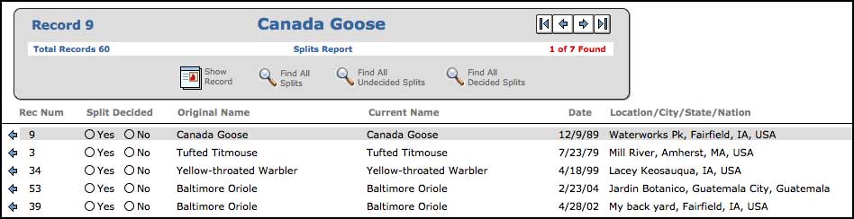 Splits Report
