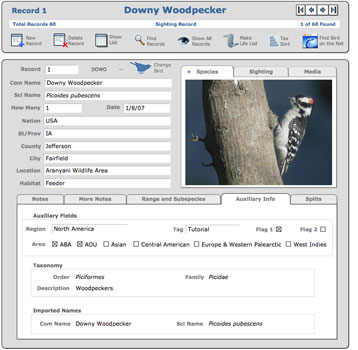 Sighting Record Window