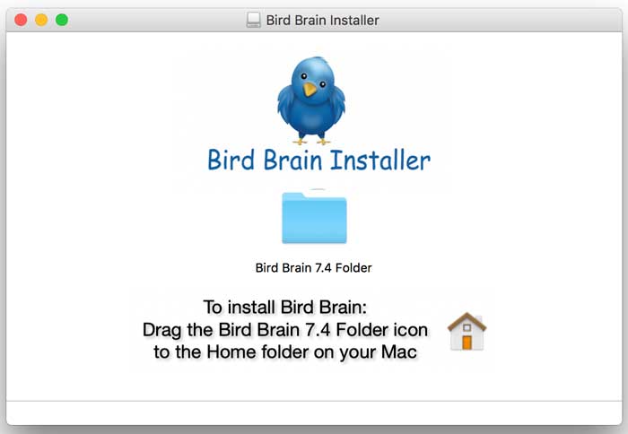 Bird Brain Installer Window