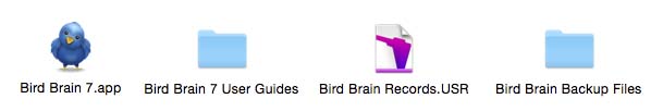 Files in Bird Brain Folder