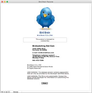 About Bird Brain