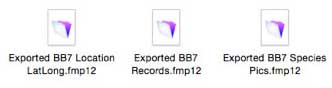 Exported Files Icons