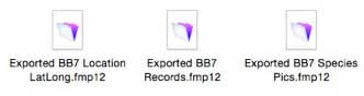 Exported Files Icons