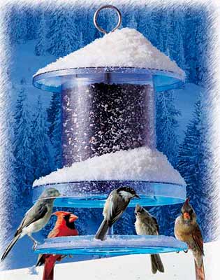 All Weather Feeder