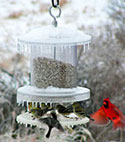 Weather Feeder
