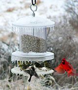 All Weather Feeder