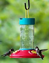 Dr. JB's Clean Feeder