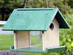 Mealworm Feeder