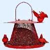 NoNo Cardinal Feeder