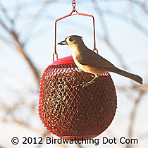 Red Seed Ball Feeder