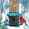 Squirrel Resistant Feeders