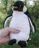 Plush Penguin