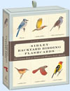 Flashcards