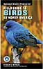 National Wildlife Federation