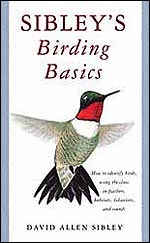 Sibley Birding Basics