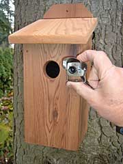 Spy-Cam Birdhouse