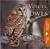 Songbird Portraits CD
