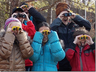 The Young Birders