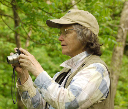 Diane at Work