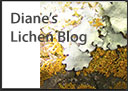 Diane's Lichens Blog