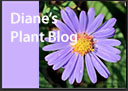 Diane's Plant Blog
