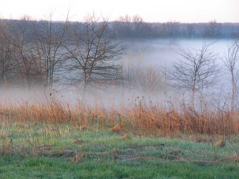 Mist lingering