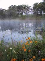 Pond