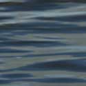 The sea