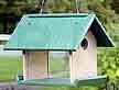 Mealworm Feeder