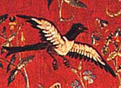 Magpie, European