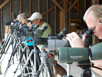 Scopes with Latte