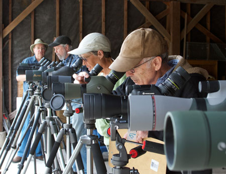 Scopes Lineup