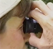 Focus diopter