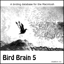 Bird Brain 5.0