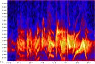 Bell's Vireo Spectrogram