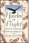 Hawks in Flight book