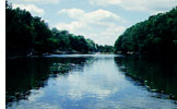 View from the boat