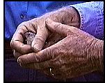 Bird in hands