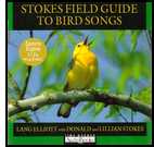 Stokes Bird Songs