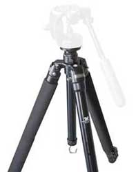 Vortex STX