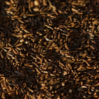 Nyger seed