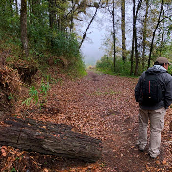 Trail at Rincon Suizo