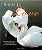 Birds in Love