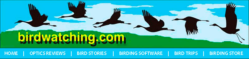 Birdwatching Dot Com