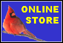 Online Store