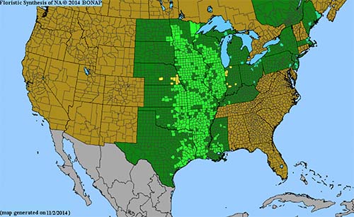 BONAP map of Prairie Blazing Star Range