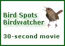 Bird Spots Birdwatcher