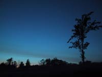 Dusk