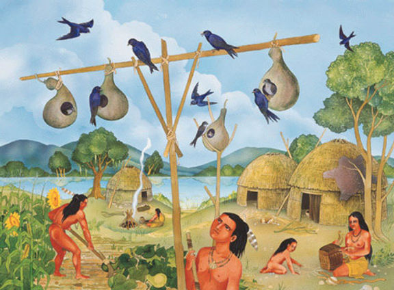 Purple Martins and Native Americans. Courtesy Purple Martin Conservation Association